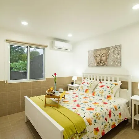 Casa Xavier - Piscina 2735/al * Ponta Delgada (Sao Miguel)